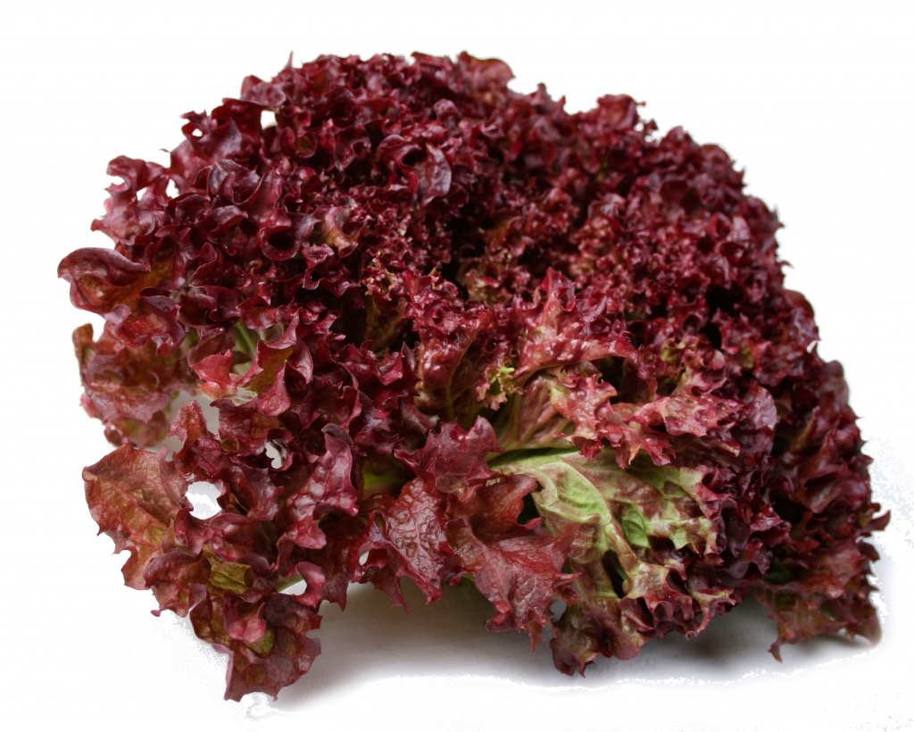 Виды салатов: разновидности и описание, вкусовые качества, фото
