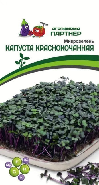Микрозелень Капуста Краснокочанная, 5 г