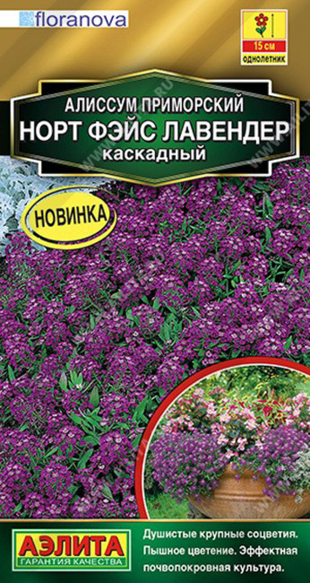 Алиссум Норт фэйс лавендер каскадный, 10 шт семян