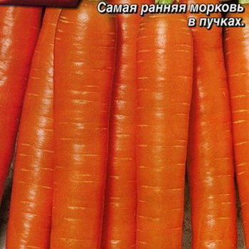 Морковь Ранняя Сладкая, 2 г