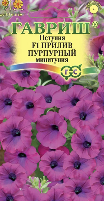 Петуния суперкаскадная (Минитуния) Прилив Пурпурный F1, 4 шт семян