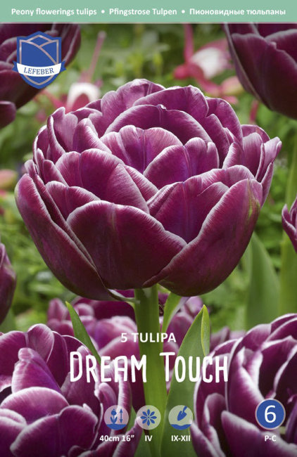 Тюльпан Дрим Тач (Tulipa Dream Touch), 5 шт (разбор 12/14)