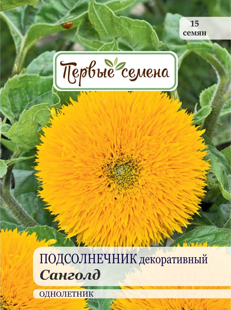 Подсолнечник Декоративный Семена Купить