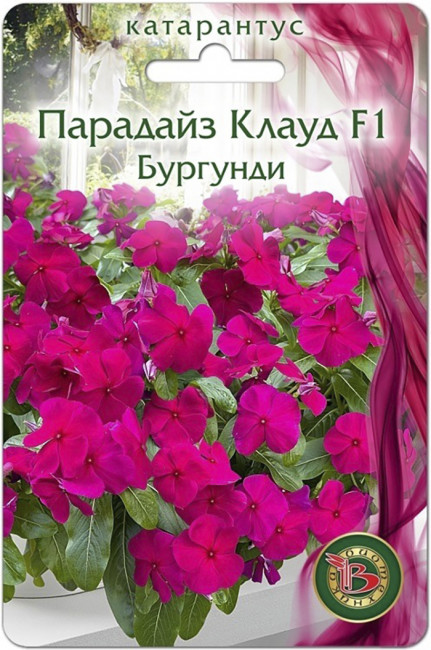 Катарантус Парадайз Клауд F1 Бургунди, 5 шт семян