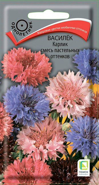 Василёк Карлик смесь пастельных оттенков, 0.1 г