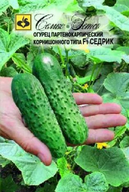 Огурец Седрик F1, 5 шт семян