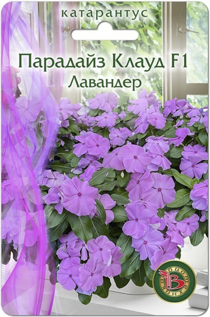 Катарантус Парадайз Клауд F1 Лавандер, 5 шт семян