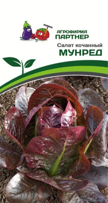 Салат кочанный Мунред, 15 шт семян