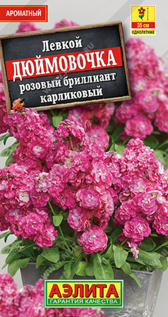 Левкой карликовый Дюймовочка розовый бриллиант, 0.1 г