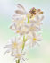 Полиантес тубероза Перл (Polianthes tuberosa The Pearl), 5 шт