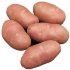 Картофель семенной Ред Скарлетт (2 кг)