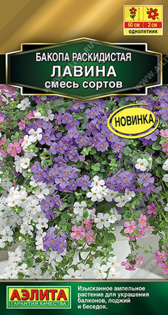 Бакопа раскидистая Лавина, смесь, 3 шт мультигранул