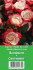 Роза Сентимент (Sentiment), 1 шт