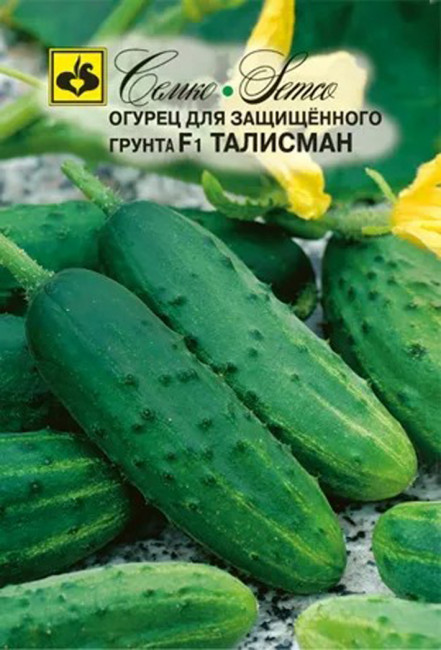 Огурец Талисман F1, 10 шт семян