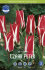Тюльпан Царь Петр (Tulipa Czaar Peter), 10 шт (разбор 11/12)