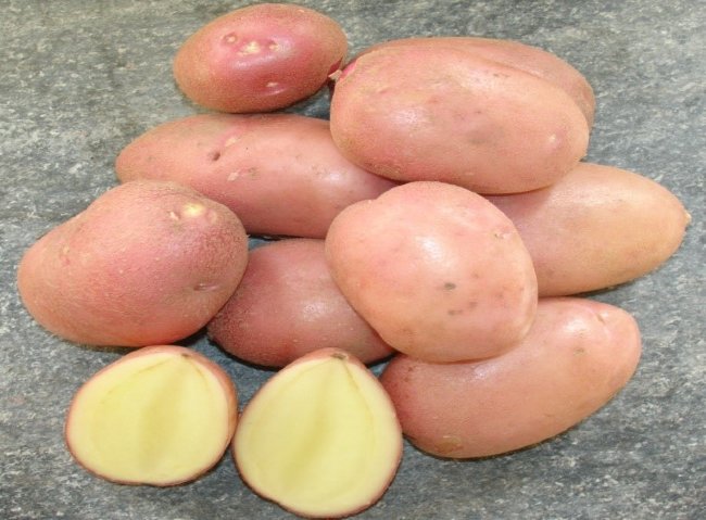 Картофель семенной Гранд (2 кг)