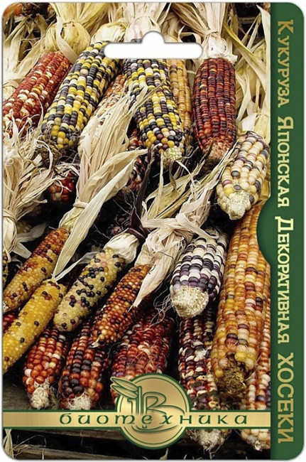 Кукуруза японская декоративная Хосеки, 10 шт семян