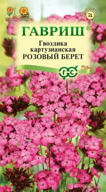 Гвоздика картузианская Розовый берет, 0.05 г