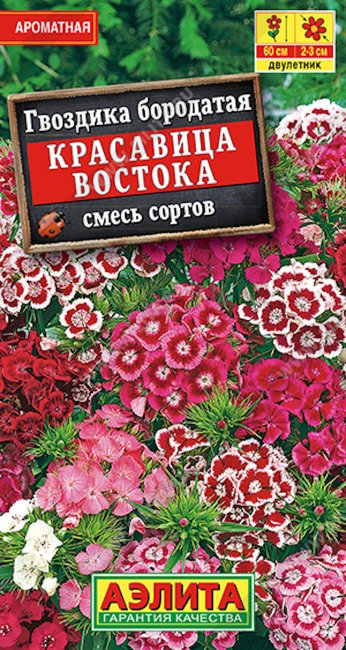 Гвоздика Красавица востока турецкая, 0.3 г
