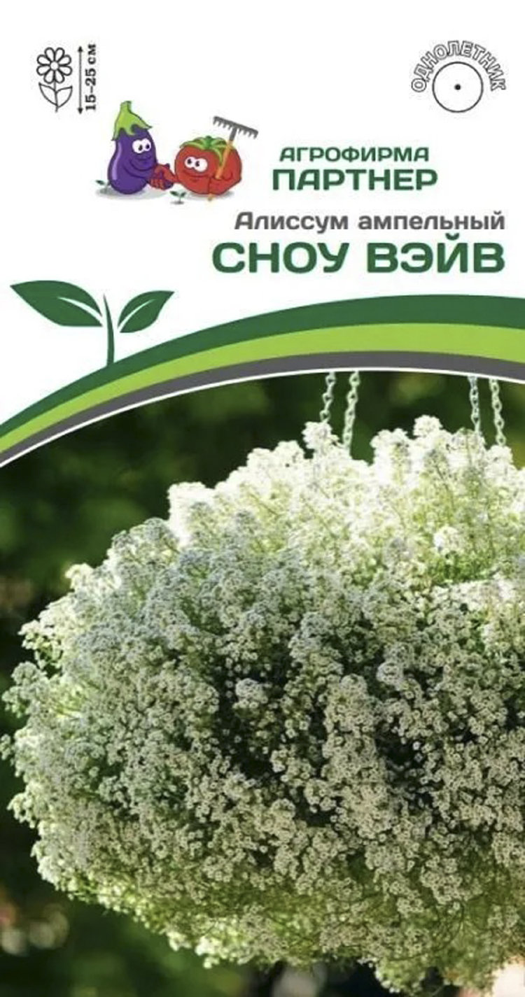 Алиссум Снежная Принцесса Купить Семена