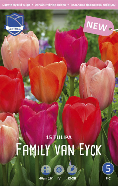 Тюльпан Фэмили Ван Эйк смесь (Tulipa Family Van Eyk), 15 шт