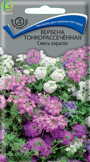 Вербена тонкорассеченная Смесь окрасок, 0.02 г