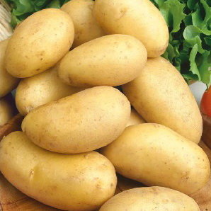 Картофель Сказка (семена)