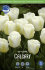 Тюльпан Калгари (Tulipa Calgary), 10 шт (разбор 11/12)