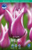 Тюльпан Баллада (Tulipa Ballade), 10 шт (разбор 12/14)