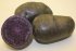 Картофель семенной Фиолетовый (2 кг)