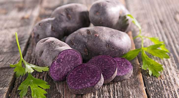 Купить картофель семенной фиолетовый (2 кг) по цене 350 руб. в интернетмагазине \