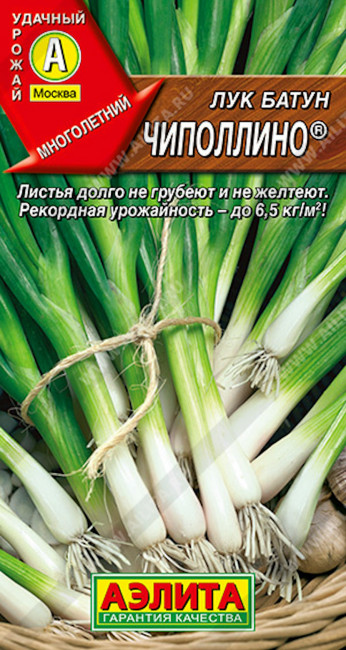 Лук батун Чиполлино,0.5 г