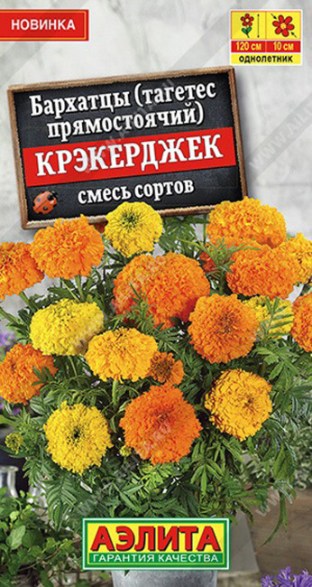 Бархатцы Крэкерджек прямостоячие, смесь, 0.1 г