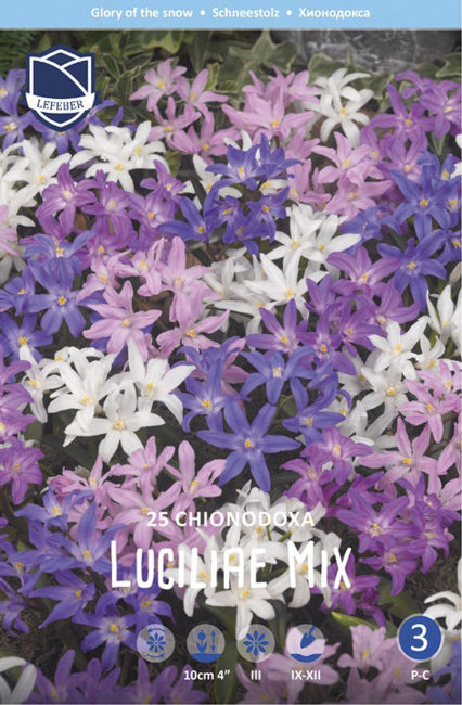 Хиондокса смесь (Chionodoxa Mixed), 25 шт (разбор 5/6)