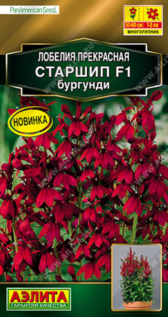 Лобелия Старшип F1 бургунди, 5 шт гранул (по 8-10 семян)