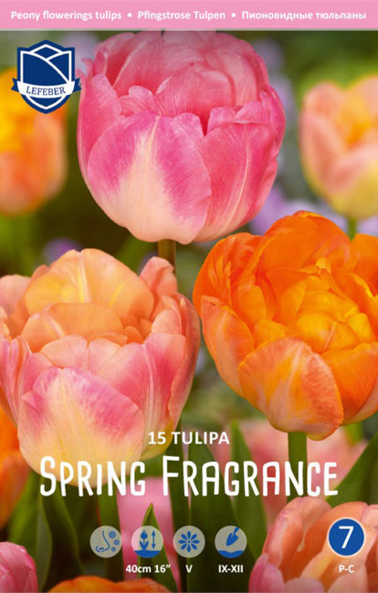 Тюльпан Спринг Фрейджренс смесь (Tulipa Spring Fragrance), 15 шт