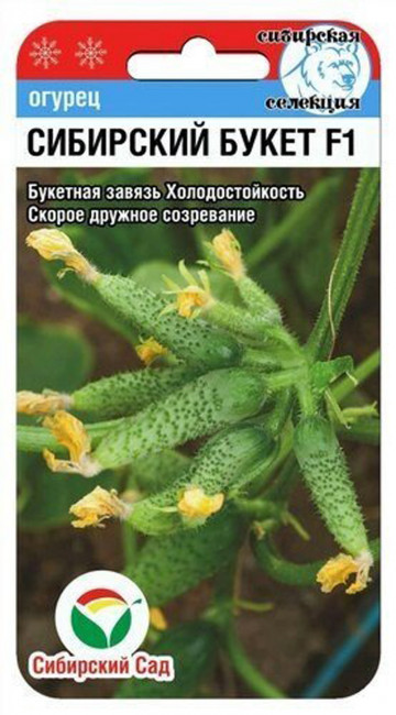 Огурец Сибирский букет F1, 7 шт семян