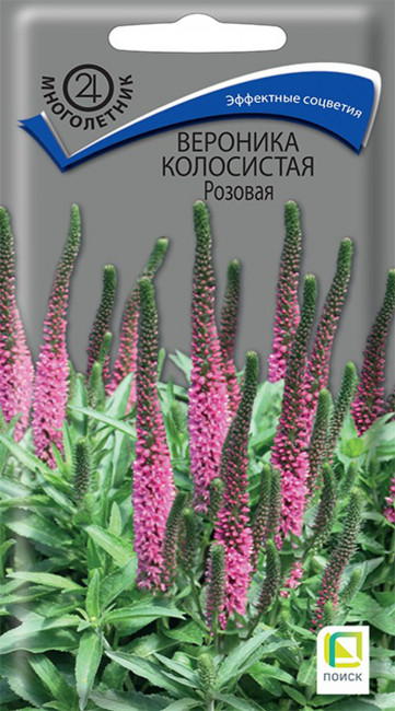 Вероника (колосковая) колосистая Розовая, 0.1 г