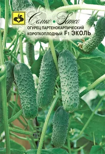 Огурец Эколь F1, 5 шт семян