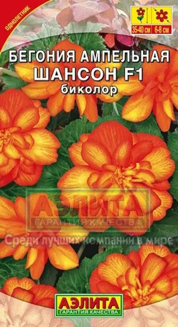Бегония ампельная Шансон биколор F1, 10 шт семян