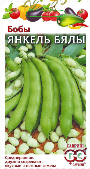 Бобы Янкель Бялы, 10 шт семян