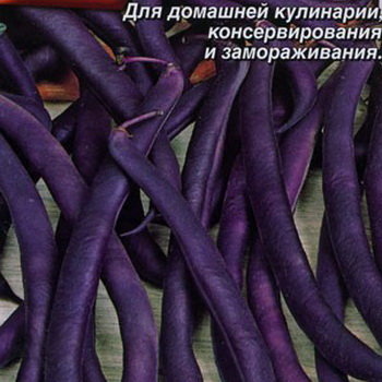 Фасоль овощная Пурпурная королева, 5 г