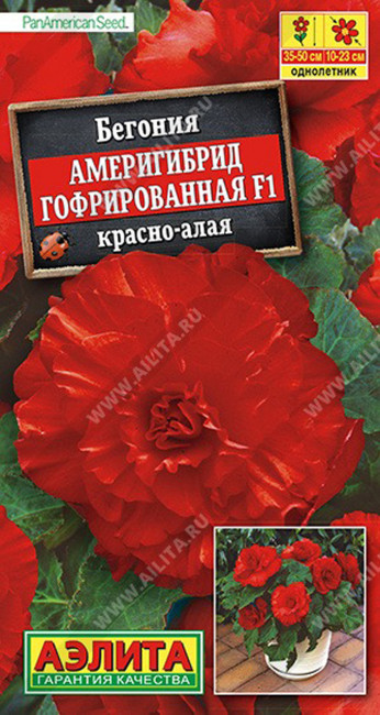 Бегония Америгибрид гофрированная F1 красно-алая, 5 шт семян