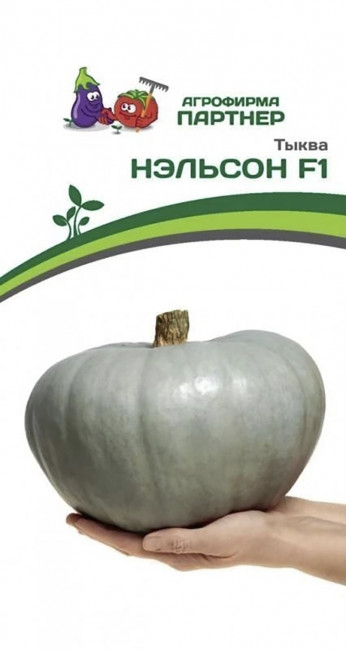 Тыква Нэльсон F1, 5 шт семян