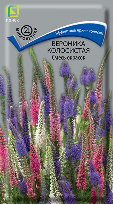 Вероника колосистая Смесь окрасок, 0.1 г