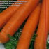 Морковь красная Без Сердцевины (лента 8 м)