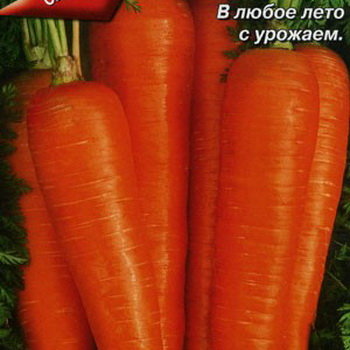 Морковь Услада