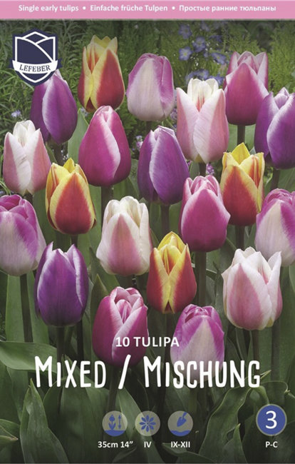 Тюльпан триумф смесь (Tulipa Triumph Mixed), 10 шт (разбор 11/12)