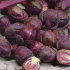 Капуста брюссельская Виноградная гроздь