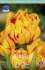 Тюльпан Монселла (Tulipa Monsella), 10 шт (разбор 11/12)